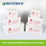 BK-NP Series battery